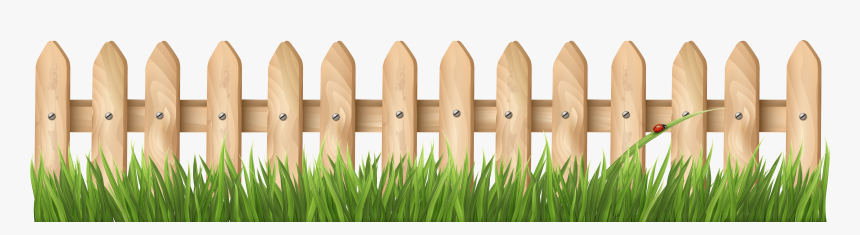 Yellow Grass Png, Transparent Png