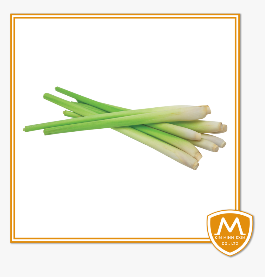 Transparent Yellow Grass Png - Lemon Grass Png, Png Download