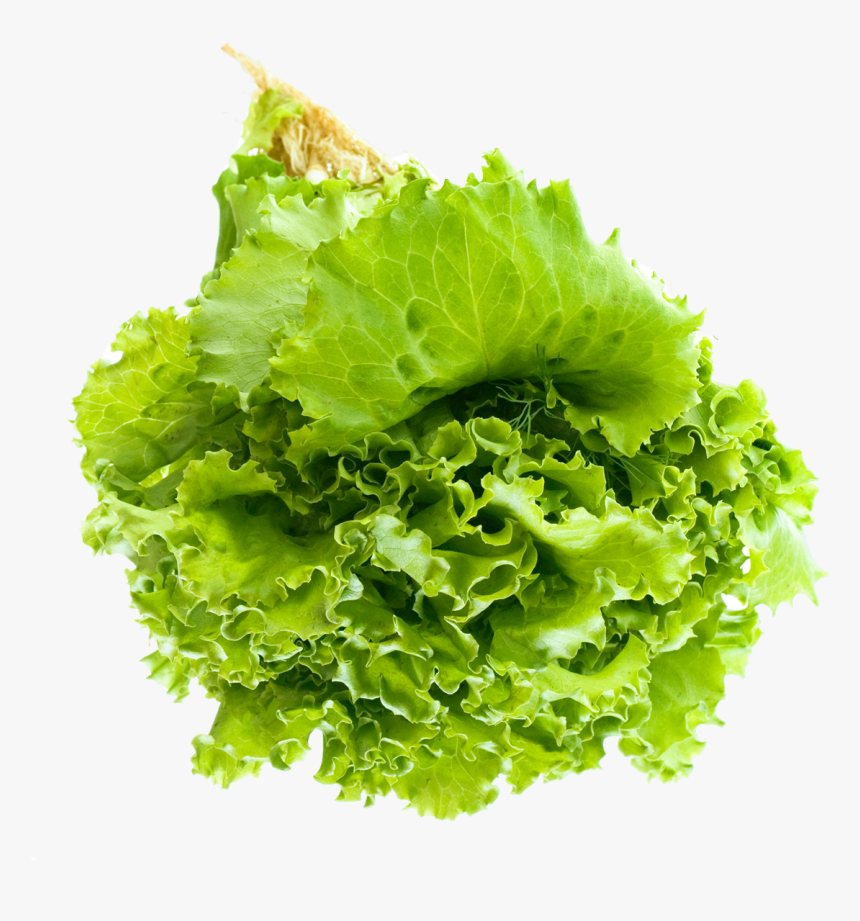 Salad Leaf Png Image - Transparent Background Lettuce Png, Png Download