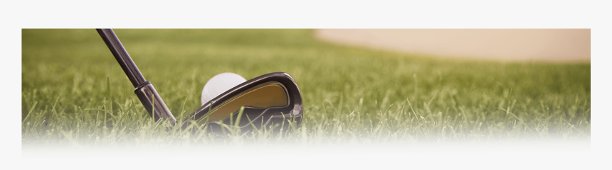 Hole In One - Grass, HD Png Download