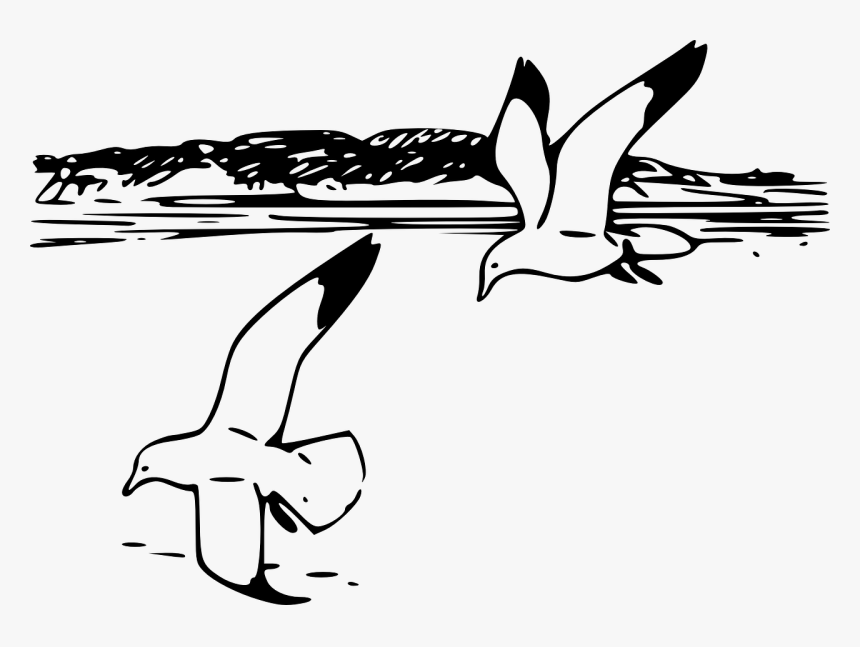 Seagull Clipart Line Drawing - Seagull Clipart Black And White, HD Png Download