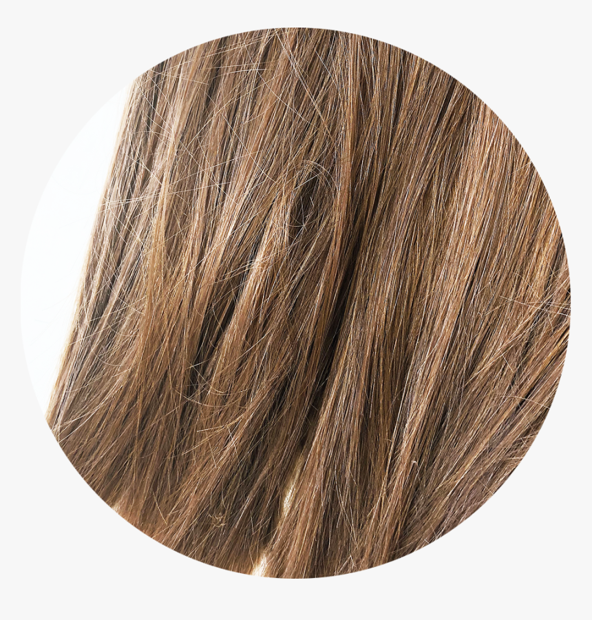 Picture - Bronze, HD Png Download