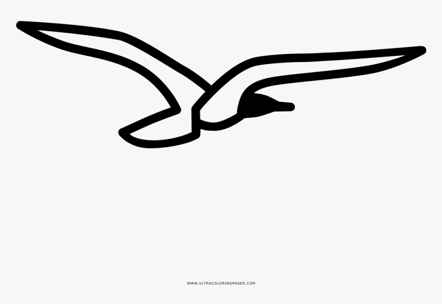 Seagull Coloring Page Clipart , Png Download, Transparent Png