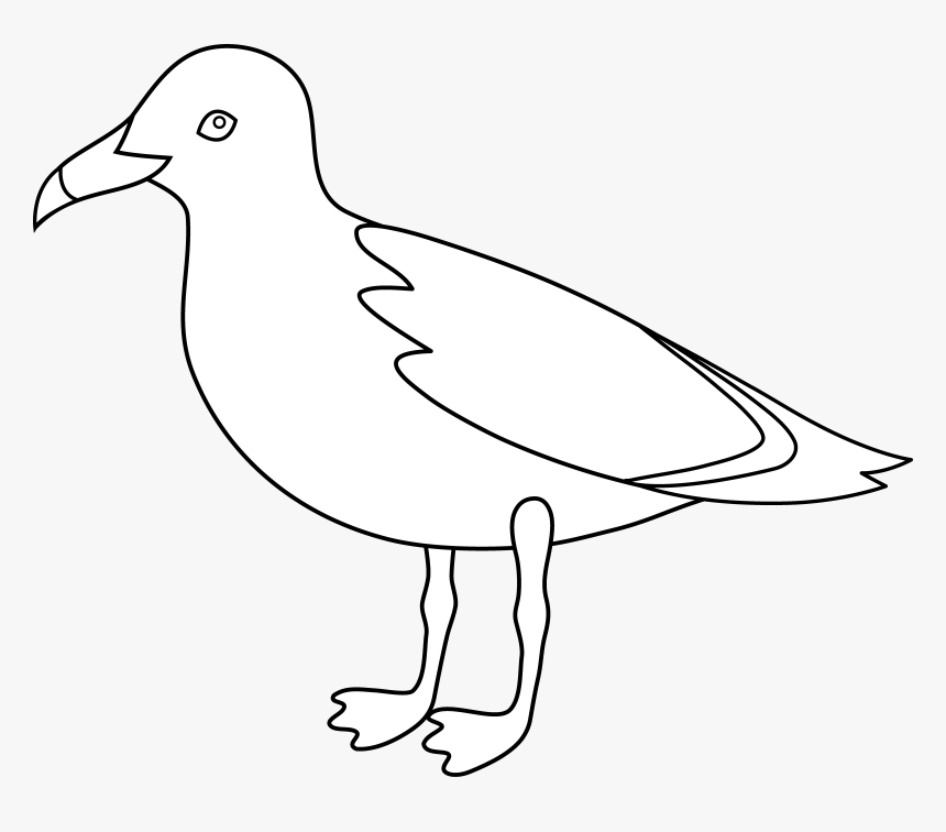 Gulls Bird Drawing Clip Art - Gull, HD Png Download
