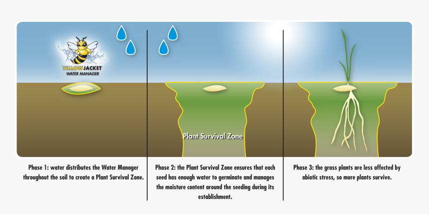 Germination Gazon, HD Png Download
