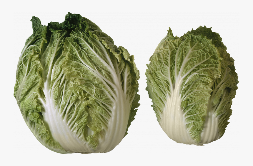 Download For Free Salad High Quality Png - Different Heads Of Lettuce, Transparent Png