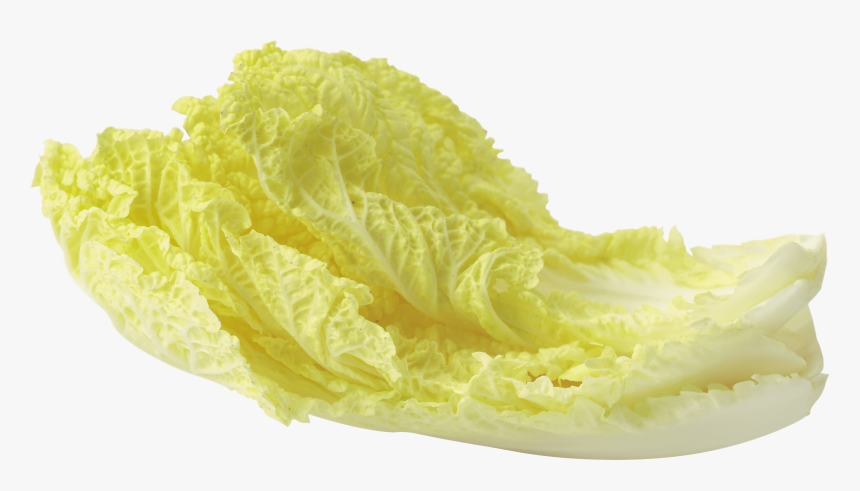 Salad Leaf - Png Yellow Lettuce, Transparent Png