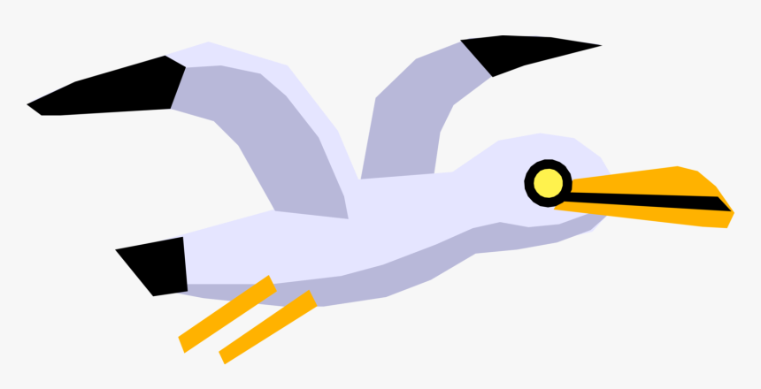 Vector Illustration Of Cartoon Feathered Vertebrate - Seabird Cartoon, HD Png Download