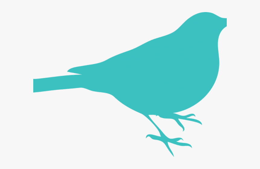 Seagull Silhouette Cliparts - Bird Silhouette Green, HD Png Download
