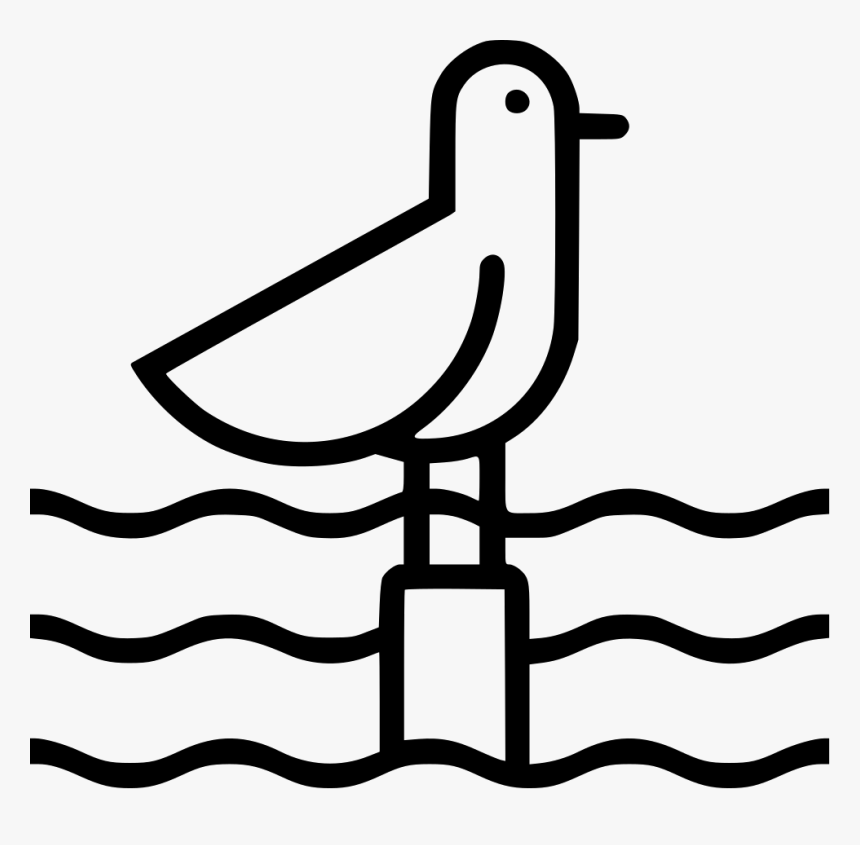 Seagull, HD Png Download