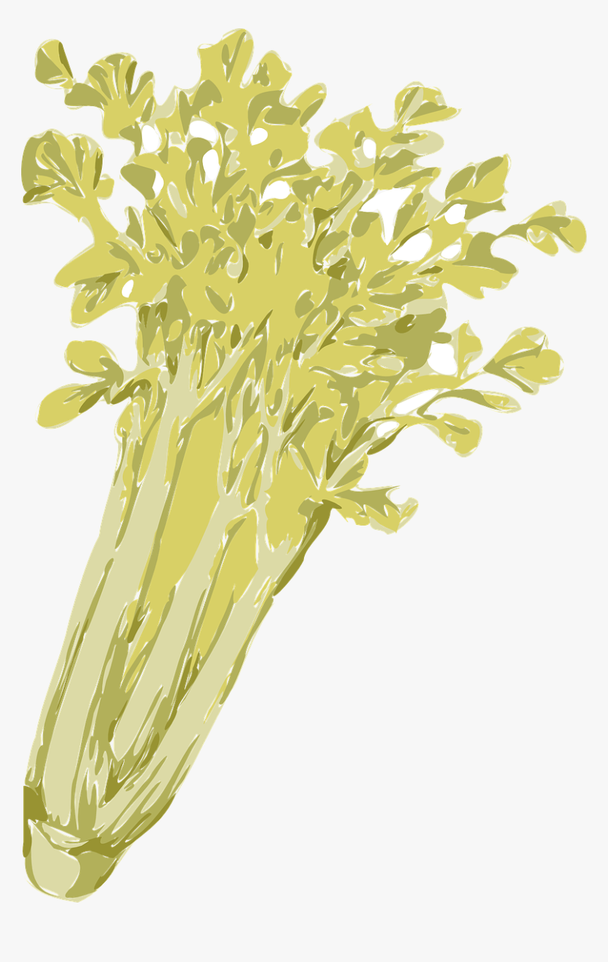 Seledri Vector Png, Transparent Png