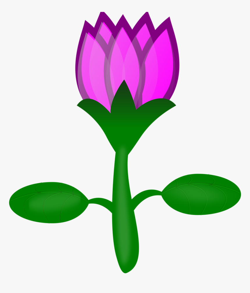 Lotus Seagull Om Svg Vector File, Vector Clip Art Svg - Cartoon Plants Transparent Background, HD Png Download