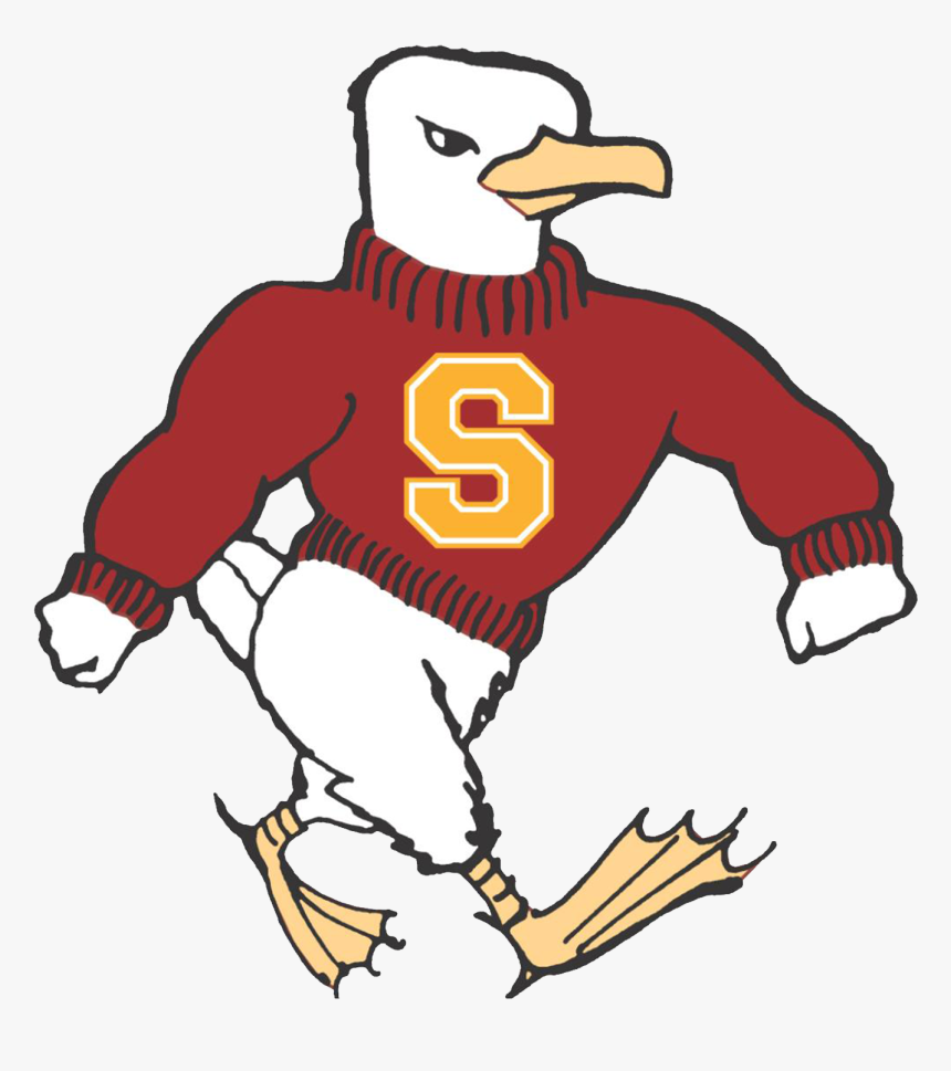 Salisbury Seagulls, HD Png Download