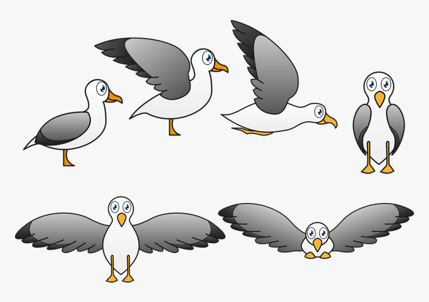 Seagull, Ave, Fly, Caricature, Child, Pen, Fauna - Cartoon, HD Png Download