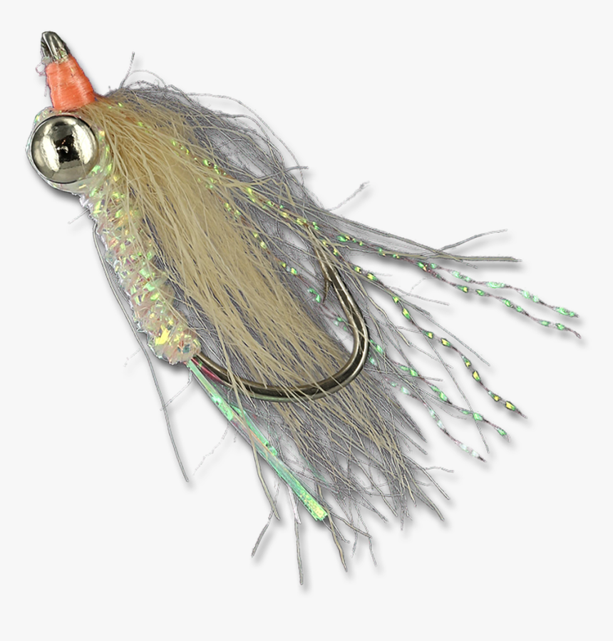 Lead Eyes - Insect, HD Png Download