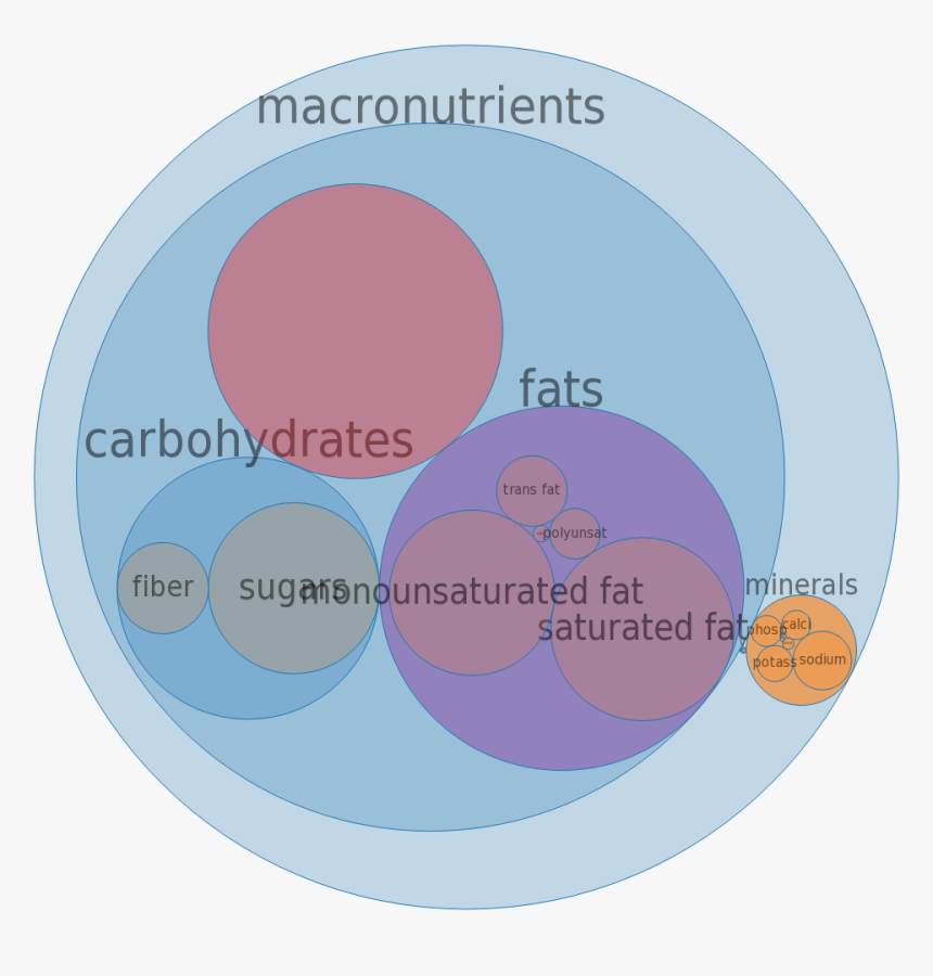 Circle, HD Png Download