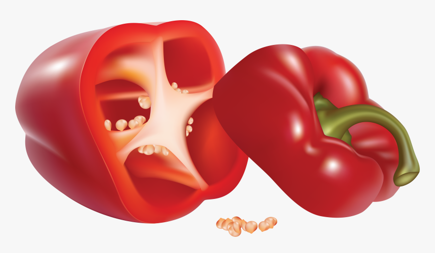 Bell Pepper Chili Pepper Vegetable Clip Art - Clipart Pimentao Vermelho, HD Png Download