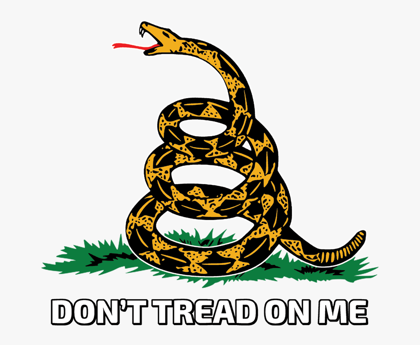 Don`t tread on me. змея don't tread on me. либертарианский флаг. Don't tread on me обои. Don t tread.
