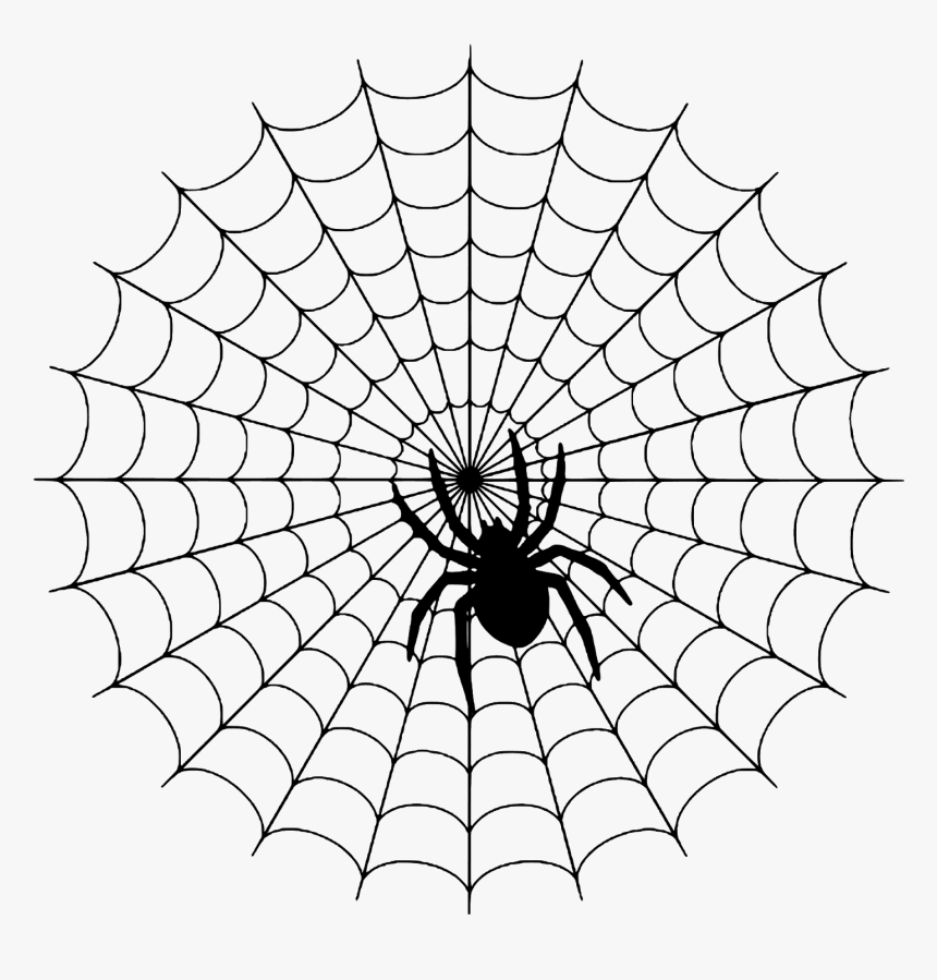 Day A Simple Web - Spider On A Web, HD Png Download