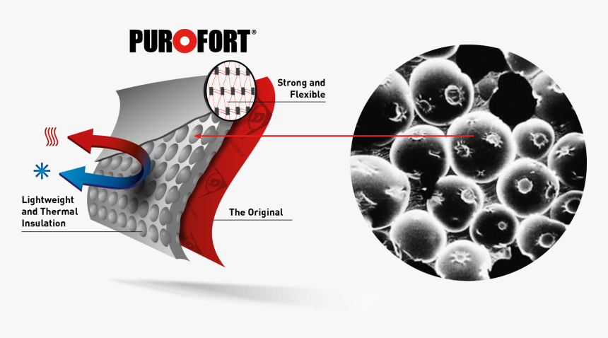 Purofort Technology, HD Png Download
