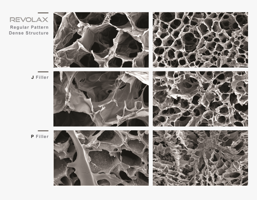 Revolax - Revolax Uk, HD Png Download