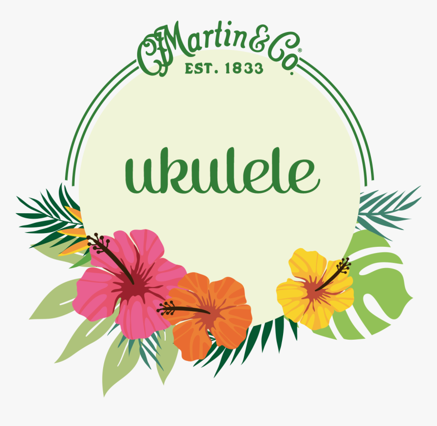 Guitar Strings Martin Guitars C F Co - Martin & Co, HD Png Download