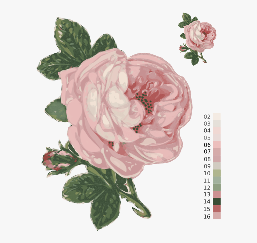 Pink,plant,flower - Has A Bee Ever Landed On You, HD Png Download