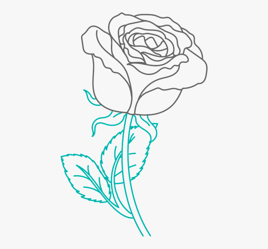 Pink Flower, Spring, Flowers, Plant, Flower, Garden - Hybrid Tea Rose, HD Png Download