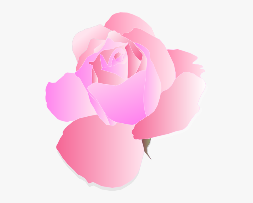Pink,plant,flower - Pink Flower Png Transparent Background, Png Download