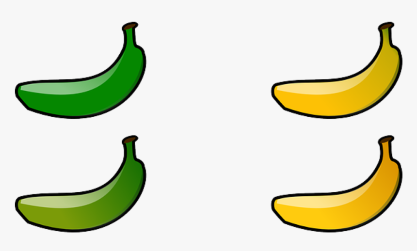 Transparent Banana Clip Art - Green Banana Clip Art, HD Png Download