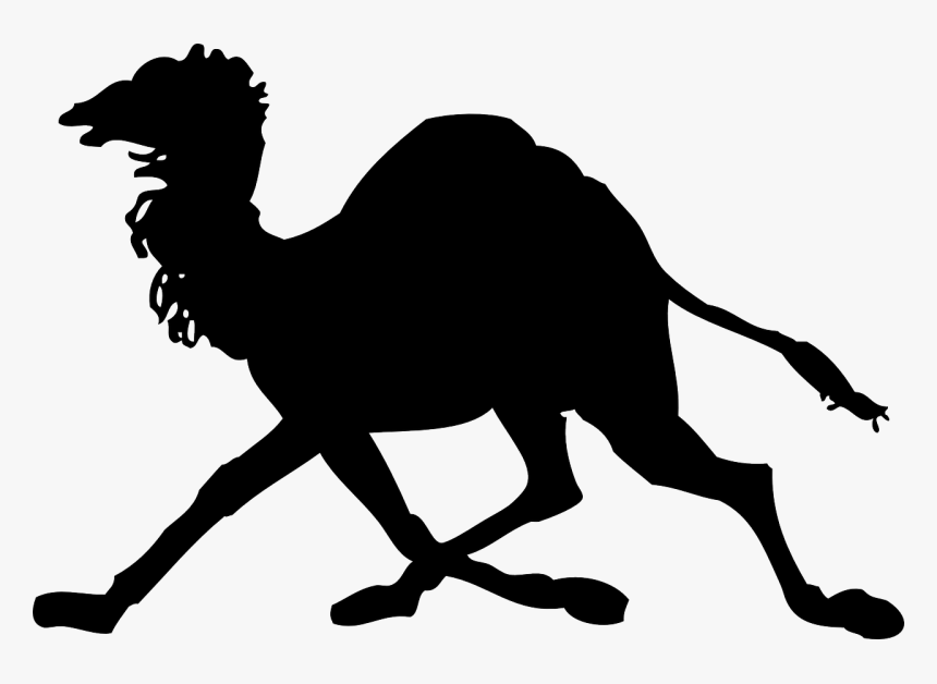 Camel Clip Art, HD Png Download