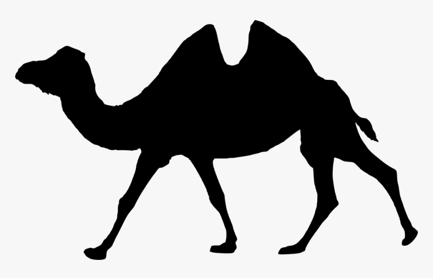 Silhouette, Walking, Camel, Isolated, Animal, Wildlife - Camel Humpback, HD Png Download