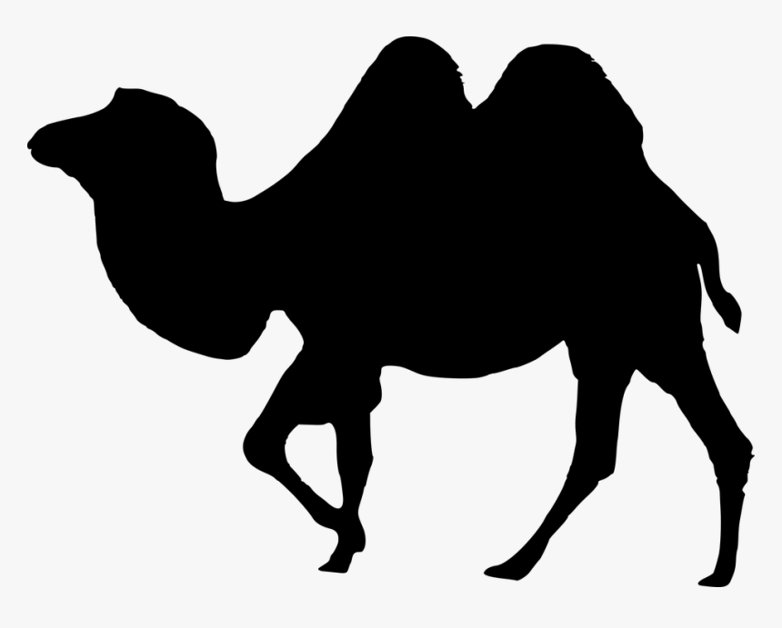 Camel Portable Network Graphics Vector Graphics Rajasthan - Round Batman Logo Png, Transparent Png