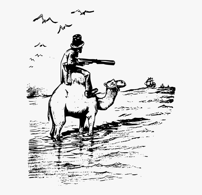 Human Behavior,art,livestock - Human On Camel With Gun, HD Png Download