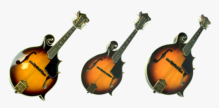 Guitar, Strings, Acoustics, Music, Tool, Jazz, Sound - Indian Musical Instruments, HD Png Download