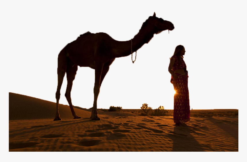 Transparent Camel Silhouette Png - Camel With Woman, Png Download