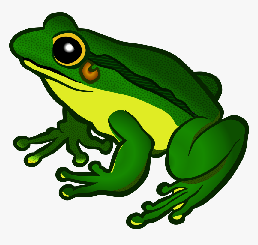 Clipart Image Of Frog, HD Png Download