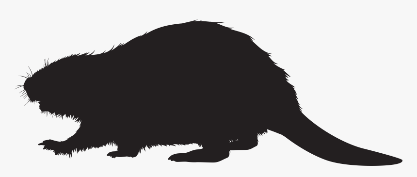 Beaver Clipart Transparent Background, HD Png Download