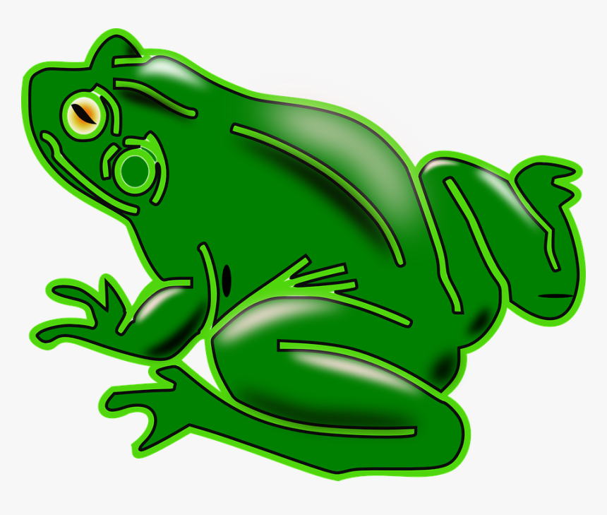 Frog, Amphibian, Tree Frog, Green, Animal, Shiny - Clipart Rana, HD Png Download