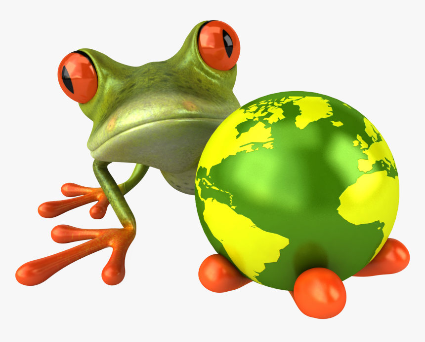 Frog Png - Orange Green Frog, Transparent Png