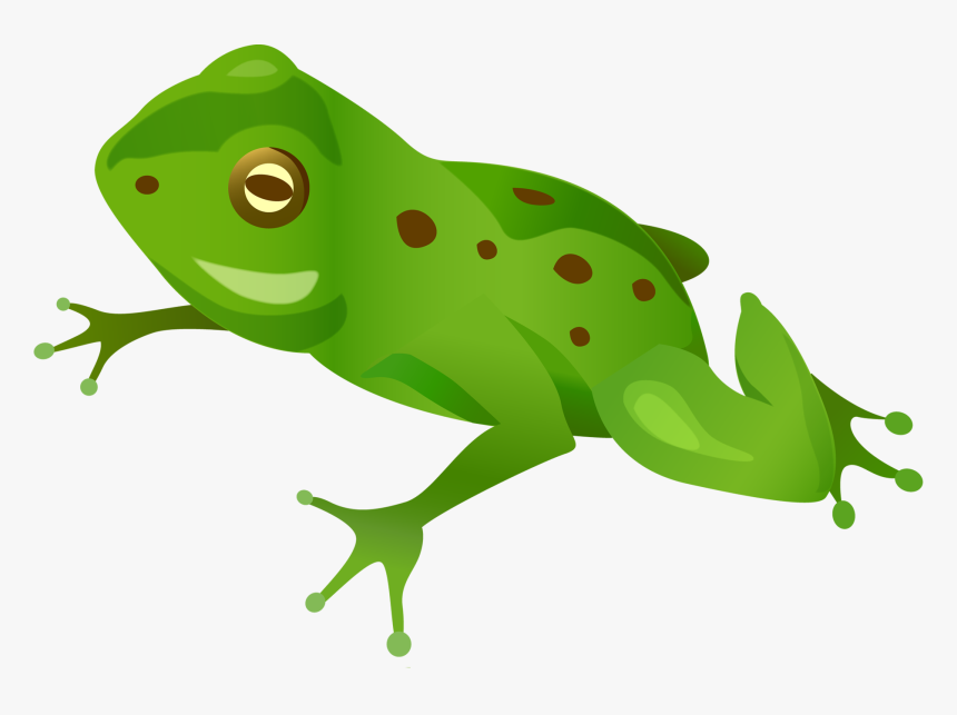 35774 - Лягушка Клипарт, HD Png Download