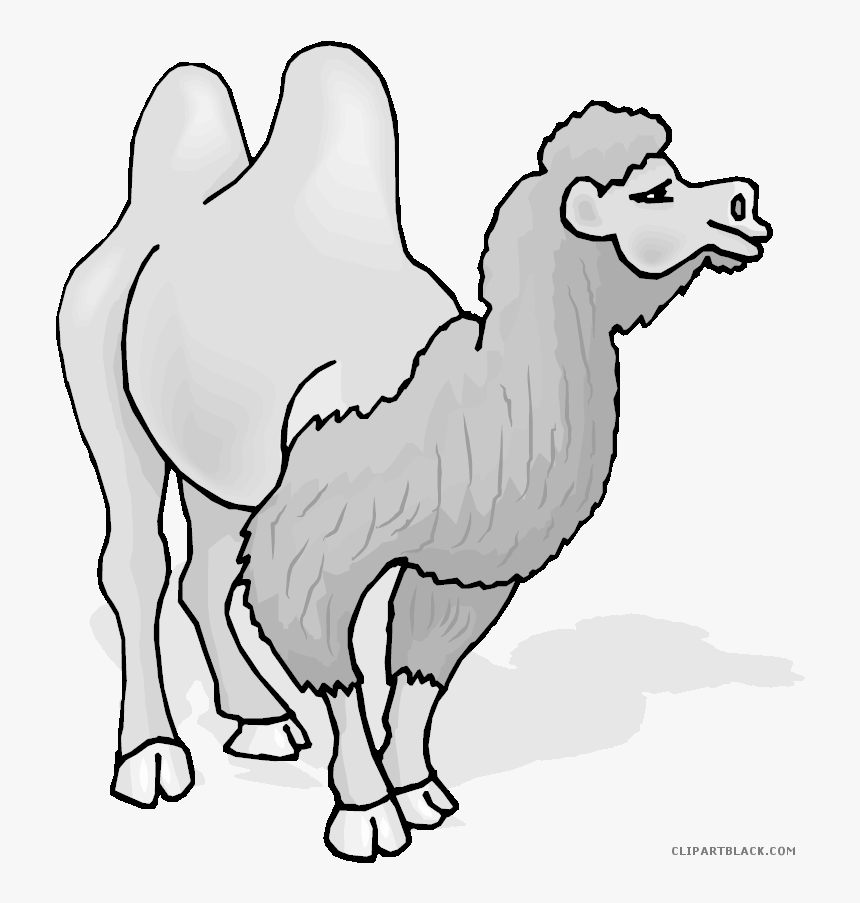 Clipartblack Com Animal Free - Camel Gif Png, Transparent Png