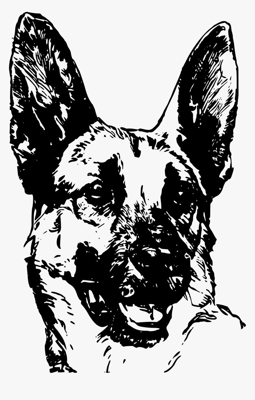 Transparent German Shepherd Clipart - German Shepherd Face Vector, HD Png Download