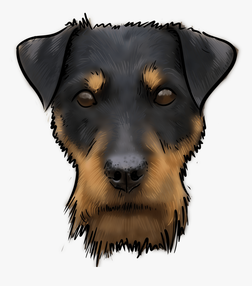 Companion Dog, HD Png Download