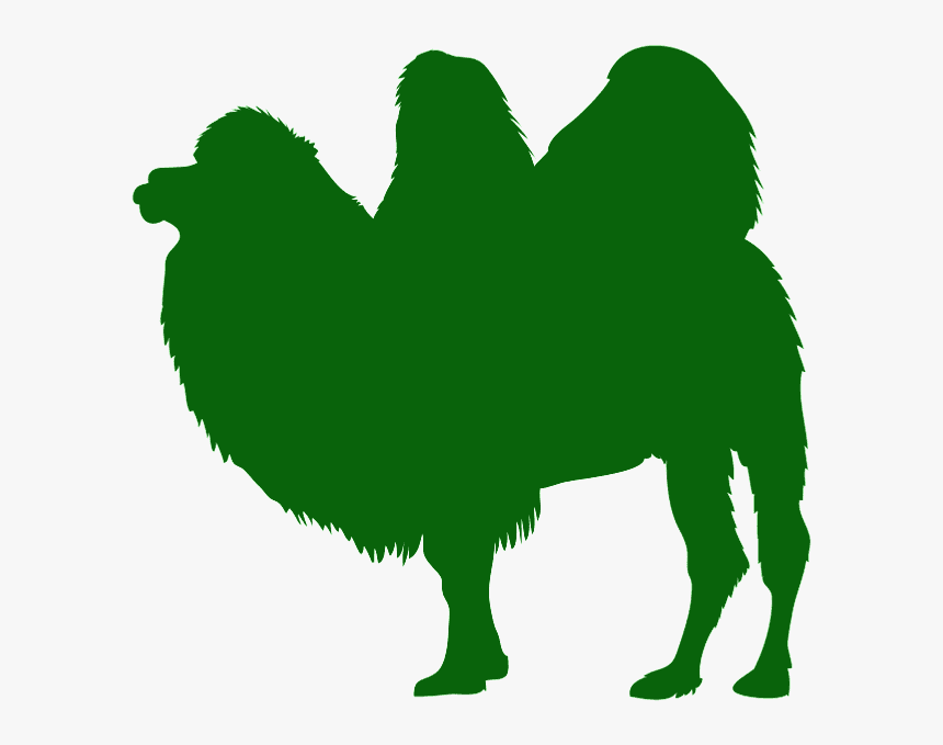 Clip Art, HD Png Download