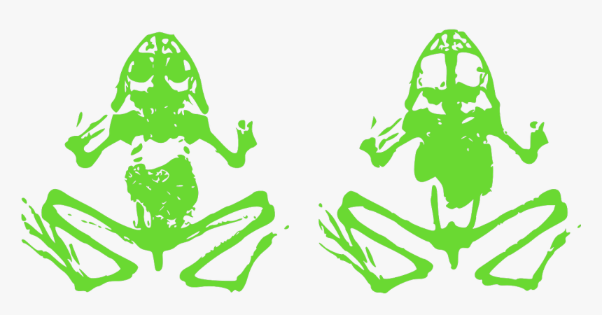 Dead Frog Clip Art, HD Png Download