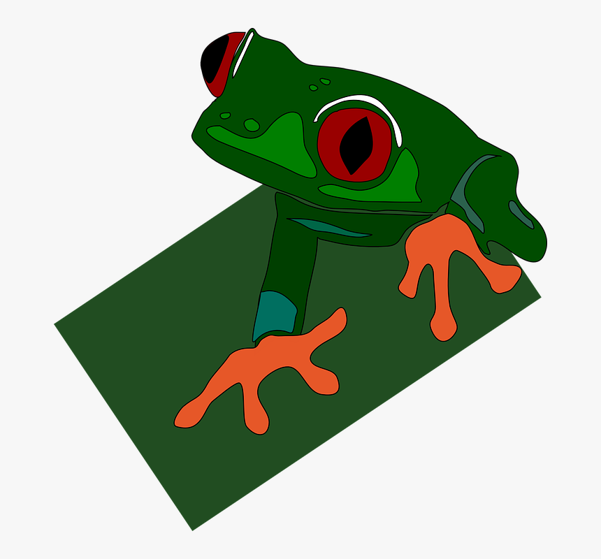 Green, Frog, Red, Eye, Feet, Eyed, Sticky, Eyes - Green Dart Frog Clipart, HD Png Download