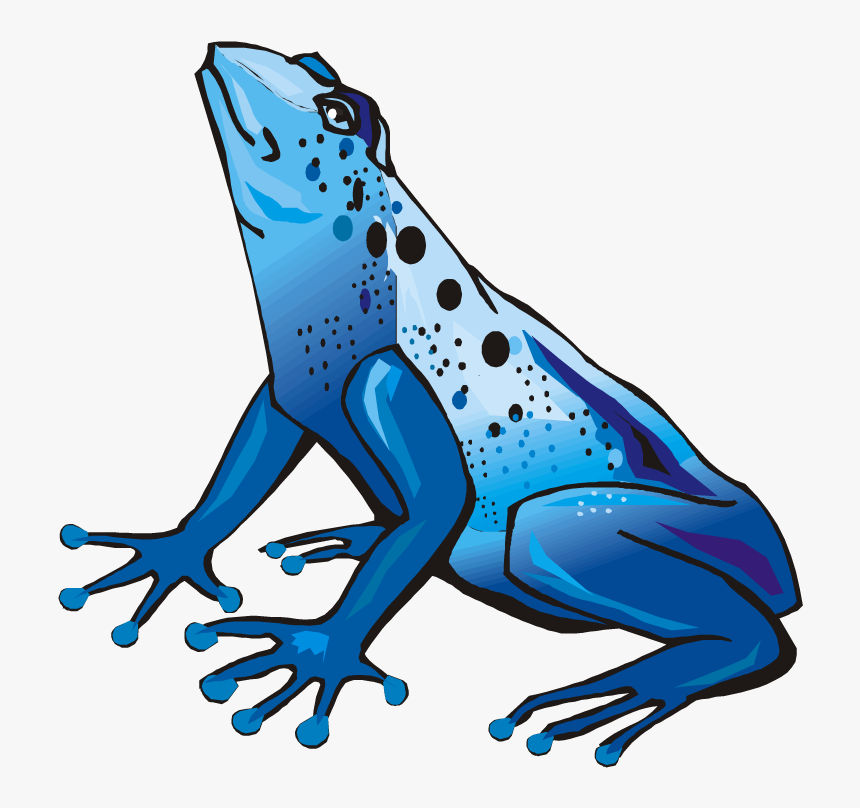 Green Frog Clipart Rain Clipart - Dart Frog Clip Art, HD Png Download
