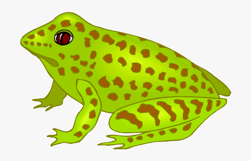 Free Frog Clipart - Glass Frog Clip Art, HD Png Download