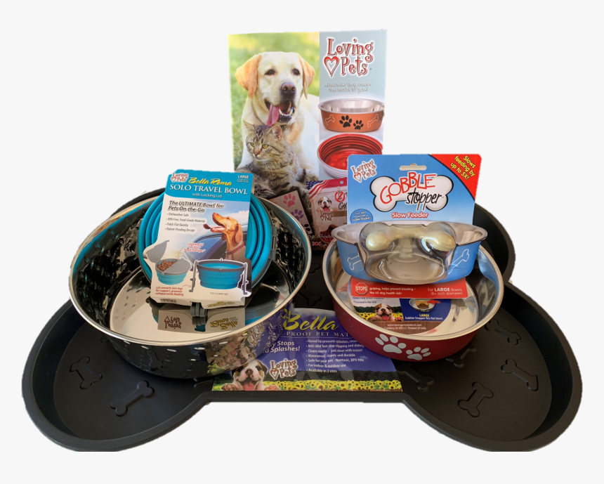 Labrador Retriever, HD Png Download